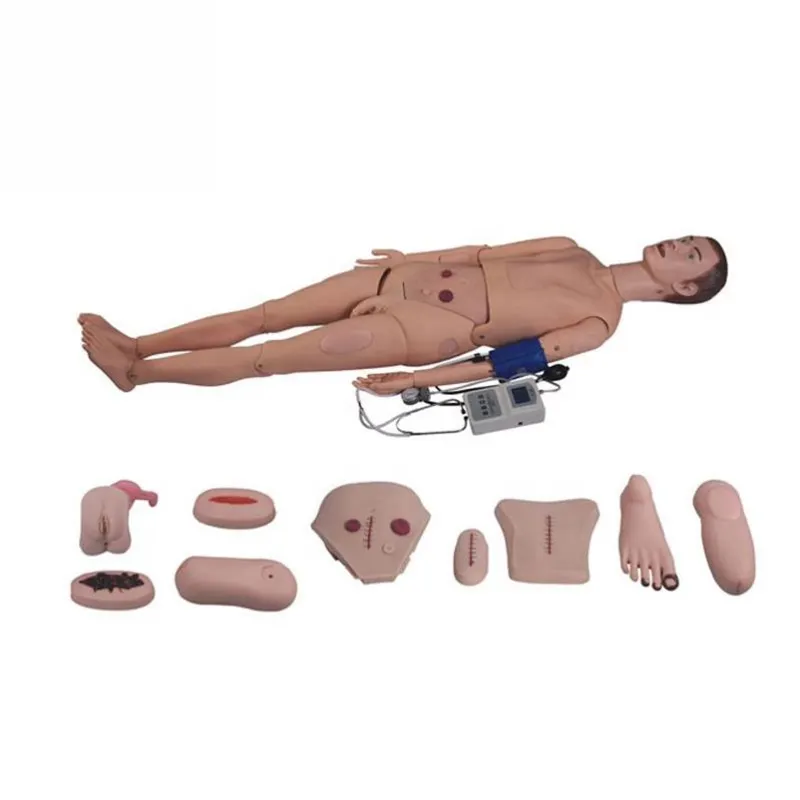 Медицинские науки, Обучающие манекены, модель для обучения человека, симулятор артериального давления, полнофункциональный медсестринский манекен