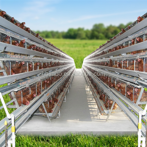 Cage à poules pondeuses de type 4/A/H, cages à volailles d'occasion bon marché, cage à volailles pour élevage de poulets, montage facile, durable - Product Image 2