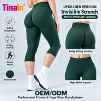 Leggings Capri de Sport OEM Personnalisés pour Femme, Effet Sculptant Invisible, Compression Sans Couture, Anti-Transpiration, Anti-Transparence lors des Squats