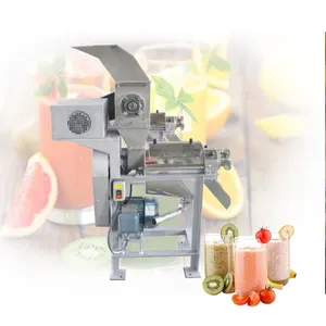Machine de fabrication de jus broyé à vis de légumes à haut rendement Extracteur de jus de pomme citron orange