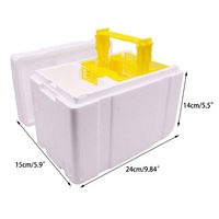 Matériel d'apiculture, boîte de ruche en plastique pour abeilles, ruche en mousse EPS, mini ruche pour la reproduction des reines, boîte de ruche