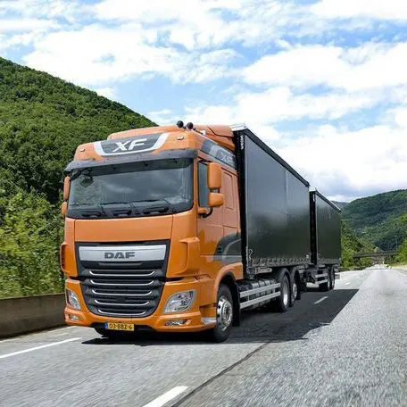 Service de transformation DDP pour camion, canine, lien vers l'europe, italie, albanie, pologne, portugal, espagne