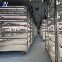 Chambre de germination climatisée pour semences avec support personnalisé ODM