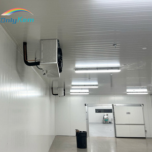 Câmara Frigorífica Industrial <span class=keywords><strong>Walk</strong></span>-<span class=keywords><strong>in</strong></span> para Refrigeração e Congelamento - Product Image 2