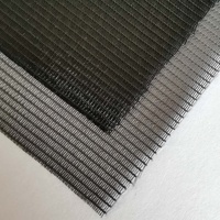 Moustiquaire de fenêtre moderne en nylon de haute qualité, anti-pollen et anti-poussière