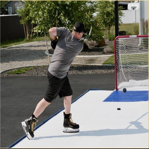 Tapis d'entraînement de hockey en HDPE industriel ZSPE, tapis d'entraînement de hockey <span class=keywords><strong>pour</strong></span> exercices de performance, tapis d'entraînement de hockey - Product Image 4