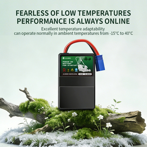 แบตเตอรี่ลิเธียมโซลิดสเตท OEM 1.2Ah 5kW สำหรับเครื่องยนต์เบนซิน (LiFePO4 1500 รอบการใช้งาน 60A-180A -20 ถึง 55 องศาเซลเซียส) - Product Image 2