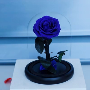 Regalo di Natale 2025: Rosa Eterna Preservata, Decorazione Floreale di Lusso Fatta a Mano, Stelo Lungo Naturale in Cupola di Vetro - Product Image 5