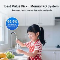 Sistema de Tratamiento de Agua por Ósmosis Inversa Industrial Pequeño de 250L/H, Purificador de Agua de Acero Inoxidable, Equipo de Filtración de Agua