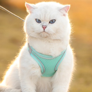 Harnais et laisse pour <span class=keywords><strong>chien</strong></span> de style gilet réfléchissant et respirant HY, en polyester, anti-évasion pour petits chiens et chats – Vente chaude - Product Image 6
