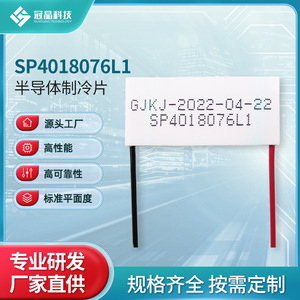 ชิปทำความเย็นเซมิคอนดักเตอร์ SP4018076L1 จากผู้ผลิตต้นทาง สำหรับยานยนต์พลังงานใหม่ - Product Image 4
