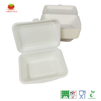 Boîte à lunch écologique en pulpe de canne à sucre de 600 ml, boîte à lunch en forme de coquille, biodégradable, compostable, conteneur alimentaire, emballage à emporter de 7 x 5 pouces