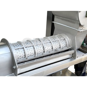 Cold Press Mango Juice Making Machine for Small Business <strong>Low</strong> Oxidation Rate High Yield 500kg Per Hour Fruit Processing - Product Image 6