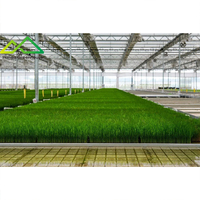 Serre hydroponique intelligente à grande échelle pour la culture de l'herbe, solution technologique à haut rendement, système hydroponique DWC