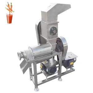 Exprimidor de prensado en frío Industrial, extractor de jugo de calabaza amarga, tomate, manzana, pepino, zanahoria, sandía, máquina exprimidora