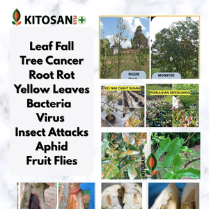 Kitosan, Bioestimulante Agrícola Líquido, Potenciador Orgánico Rico en Vitaminas, Mejora la Tolerancia al Estrés Agropecuario de las Plantas - Product Image 4
