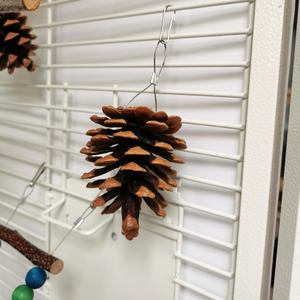 100% naturale pappagallo gabbia decorazione bocca di uccello e artiglio salute Versatile morso pigne giocattolo molare con il fissaggio di noci per gli uccelli - Product Image 6