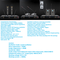 Système de microphone sans fil professionnel infrarouge double fréquence UHF 2 canaux anti-interférence avec transmission de 80-100 m