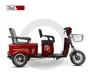 รถสามล้อโดยสาร 1000 วัตต์ ราคาถูก แบบเปิดโล่ง 3 ล้อ ขนาดเล็ก - Product Image 4