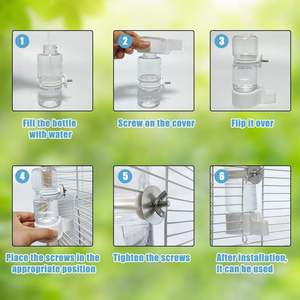 Toptan otomatik şeffaf çanaklar kuş dağıtıcı papağan güvercin Starling besleyici otomatik kuş tiryakisi kuş malzemeleri - Product Image 2