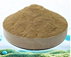 Polvere di Probiotici Bacillus Subtilis, Fertilizzante <span class=keywords><strong>Biologico</strong></span> Organico per l'Agricoltura - Product Image 5