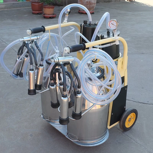 Machine à traire les vaches d'<span class=keywords><strong>occasion</strong></span> en gros pour ferme avec moteur, en acier inoxydable <span class=keywords><strong>de</strong></span> qualité alimentaire, haute efficacité, productivité <span class=keywords><strong>de</strong></span> 20-24 vaches/heure - Product Image 6