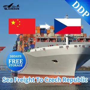 XINXUN FBA Amazon DDP/LCL/FCL агенты экспедитор доставка в Шэньчжэнь Китай в Европу Чешская Республика доставка