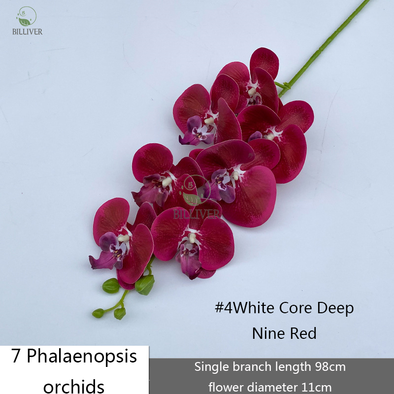 7-Tête #4 Blanc Noyau Rose Profond Rouge