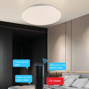 ZEDONG – haut-parleur Intelligent Google Home, contrôle vocal rétro rvb pour lampe de chambre à coucher 24w, lampe de plafond Led ronde à intensité variable