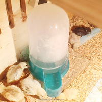 Distributeur d'eau automatique pour oiseaux YYX de haute qualité, abreuvoir pour perroquets, mangeoire en plastique pour pigeons
