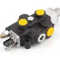 Vanne hydraulique manuelle personnalisable RD5100NPT-QTW à 1 bobine, entrée/sortie 3/4 NPT, 250 bars, pour agents mondiaux