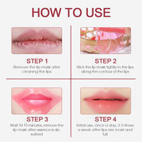 Masque Lèvres Coréen Végétalien Personnalisé au Collagène de Rose en Gros – Fournisseur OEM, Marque Privée, Patch Lèvres Rose Bio au Gel d'Aloe Vera pour la Beauté