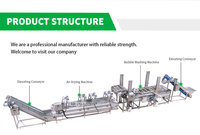 Shepody Continue Industriële Bevroren Okra-Verwerkingslijn Kalkoenfabriek Automatische Verse Okra-Waslijn