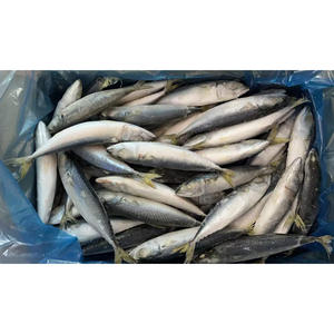 Maquereau bleu entier maquereau <span class=keywords><strong>du</strong></span> Pacifique congelé 400/600 maquereau congelé Scomber Scombrus - Product Image 3