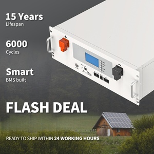 Batería de Rack para Servidor de Energía Solar Fuera de la Red RTS US Stock 5KWh 51.2V 48V 100Ah para Almacenamiento de Energía Doméstica - Product Image 2