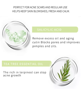 Marque privée <span class=keywords><strong>Exfoliant</strong></span> <span class=keywords><strong>Visage</strong></span> Corps au Thé Vert Naturel Biologique Matcha Blanchissant élimine les Vergetures et Exfolie - Product Image 6