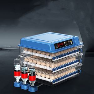 Incubateur d'œufs de poulet pour usage domestique et agricole avec moteur pour l'éclosion des poussins - Product Image 4