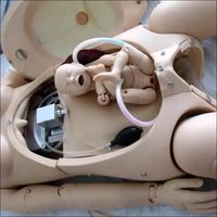 Maniquí Médico para Entrenamiento de Parto, RCP Materna, Reanimación Neonatal y Hemorragia Posparto