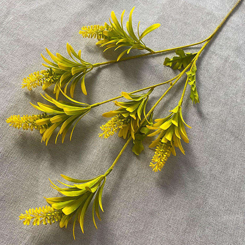 เหลืองอ่อน