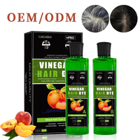 Best Selling Black Dark Brown Organic 100% Cover White Gray 500 Ml*2 Natural Herbal No Stick Fruit Extract Color Gel Dye