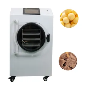 Linha de produção mini máquina de liofilização liofilizadora de frutas e legumes