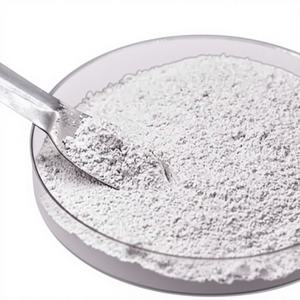 แคลเซียมคาร์บอเนตความขาวสูง นาทธัง VNT-4S สำหรับสีอุตสาหกรรม ผลิตในเวียดนาม ต้นกำเนิดจากอินเดีย - Product Image 1