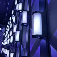 Projecteur mural LED œil-de-chat RGBW pour extérieur, éclairage linéaire de façade de bâtiment
