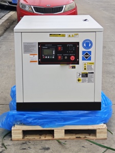 Gas <b>Generator</b> 20KW 30KW High Efficiency Silent <b>Generators</b> Set Industrial Power Equipment CNG/LNG/LPG Supported GAG Gas <b>Generator</b> - Product Image 4