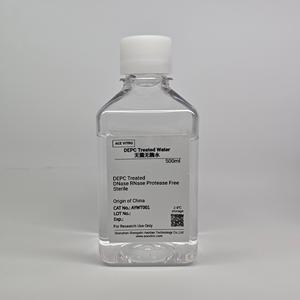 ACE VITRO 500ml Eau sans nuclease AYWT001 Milieu <span class=keywords><strong>de</strong></span> culture cellulaire stérile sans DNase/RNase/enzymes, traité DEPC, OEM, prêt à l'emploi - Product Image 1