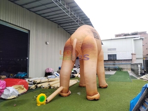 <span class=keywords><strong>Cammello</strong></span> <span class=keywords><strong>Gonfiabile</strong></span> Gigante Realistico per Esterni, Decorazione Personalizzata, Modello Animale <span class=keywords><strong>Gonfiabile</strong></span> Pubblicitario in Vendita - Product Image 5