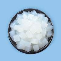 HENGZHI Original Gelée de coco Nata de Coco 1kg, Garniture pour Bubble Tea, Dessert au Konjac, Ingrédients pour les Boutiques de Thé aux Fruits/Lait