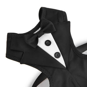 Tanpopo, venta al por mayor, traje de esmoquin, arnés para perro, conjunto de correa, chaleco de lujo duradero personalizado para mascotas, accesorios, azul, vino, rojo, diseño elegante - Product Image 5