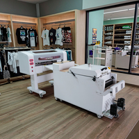 Imprimante DTF A3 Multicolore Numérique Automatique Roll-to-Roll Yinstar pour Petites Entreprises Impression par Transfert Thermique sur T-shirts/Chaussures/Oreillers