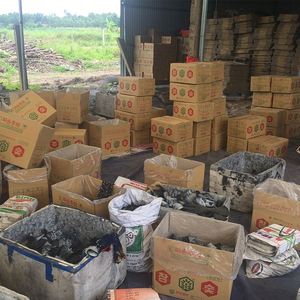 Briquettes de charbon de bois Binchotan blanc de haute qualité Eucalyptus japonais de qualité fine directement du Vietnam pour narguilé Shisha - Product Image 6